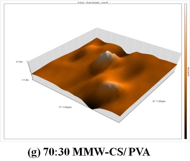 AFM g.jpg